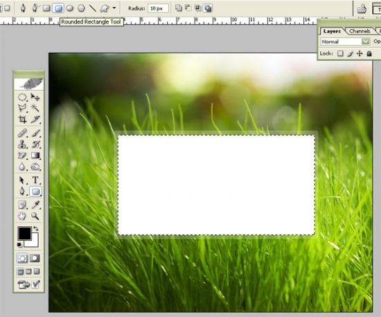 Glossy Grass Login Panel